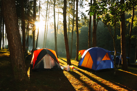 Les meilleures tentes pour camper en montagne, en bord de mer et en forêt